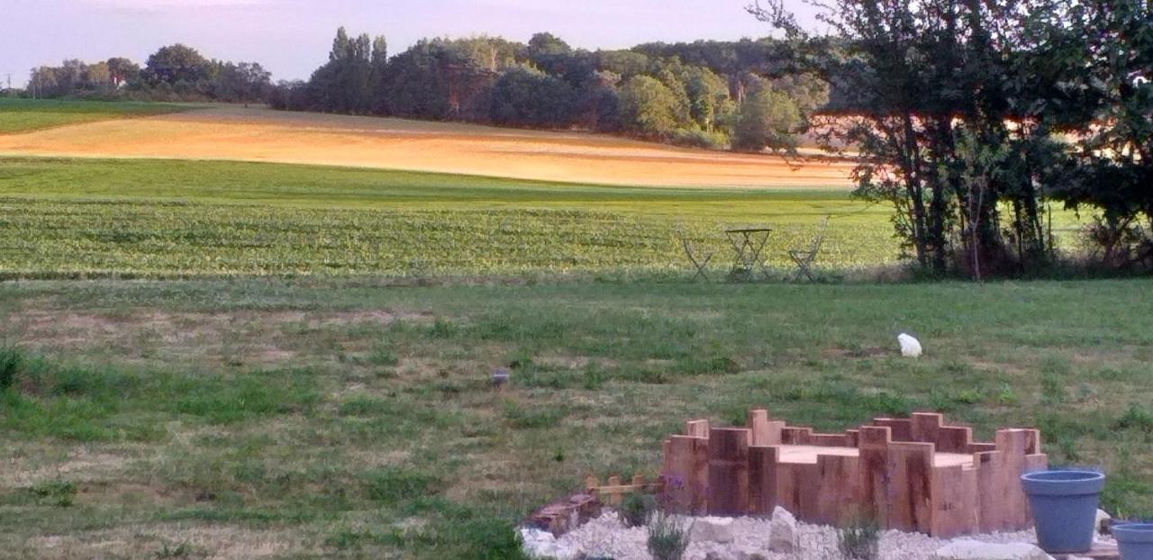 La Berrycurienne Proche Du Zoo De Beauval Saint-Aignan Avec Sdb, Wc Et Spa Privatif Pour Chaque Chambre Lucay-le-Male Exterior photo